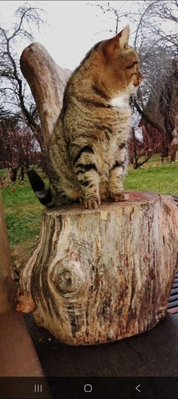 Posts: n n n nj n bjnjnjjb